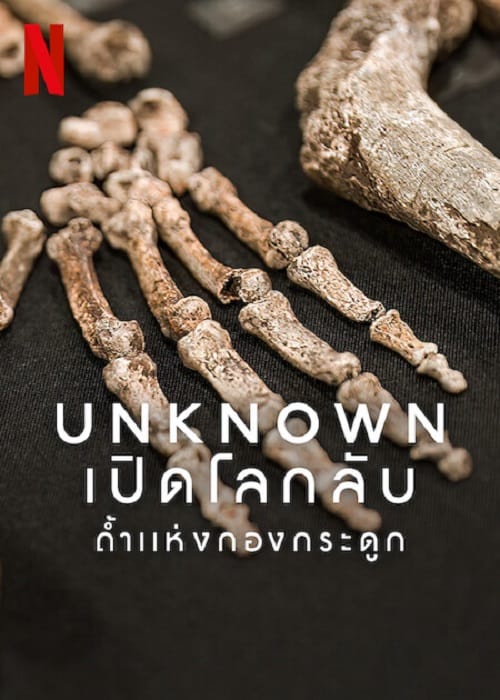 ดู Unknown Cave of Bones (2023) เปิดโลกลับ ถ้ำแห่งกองกระดูก พากย์ไทย