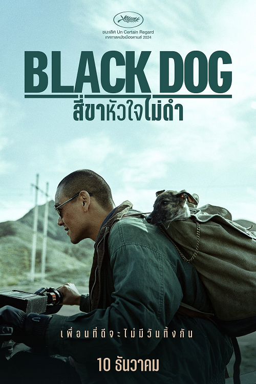 ดู Black Dog (2024) สี่ขาหัวใจไม่ดำ พากย์ไทย