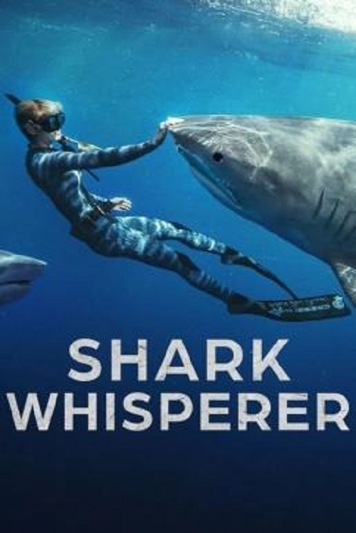 ดู Shark Whisperer (2025) คนรักษ์ฉลาม พากย์ไทย