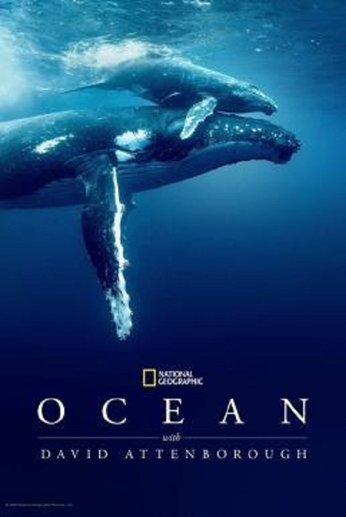 ดู Ocean with David Attenborough (2025) พากย์ไทย