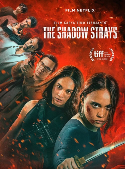 ดู The Shadow Strays นักฆ่าเงาล่าทรชน (2024) พากย์ไทย