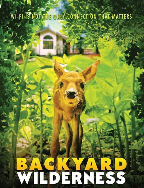 ดู Backyard Wilderness (2018) พากย์ไทย