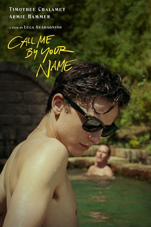 ดู Call Me by Your Name (2017) เอ่ยชื่อคือคำรัก พากย์ไทย
