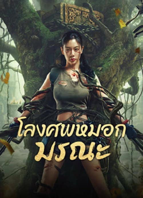 ดู Lost in the tomb (2024) โลงศพหมอกมรณะ พากย์ไทย