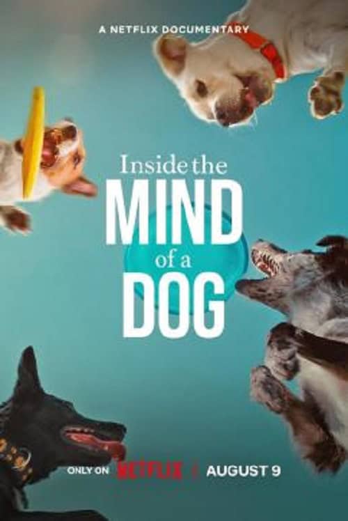 ดู Inside the Mind of a Dog (2024) อ่านใจสุนัข พากย์ไทย
