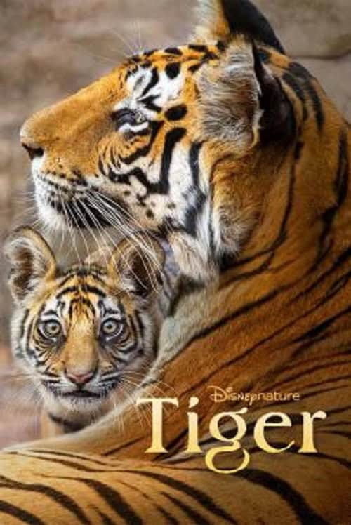 ดู Tiger (2024) พากย์ไทย