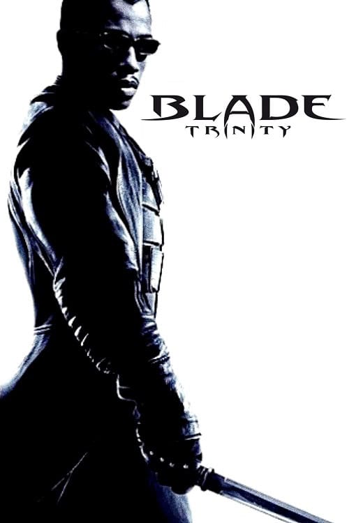 ดู Blade Trinity (2004) เบลด 3 อำมหิต พันธุ์อมตะ พากย์ไทย
