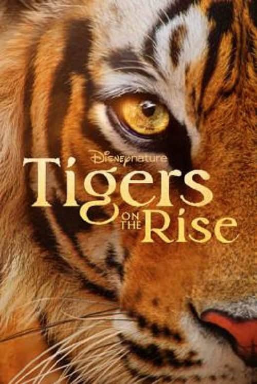 ดู Tigers on the Rise (2024) พากย์ไทย