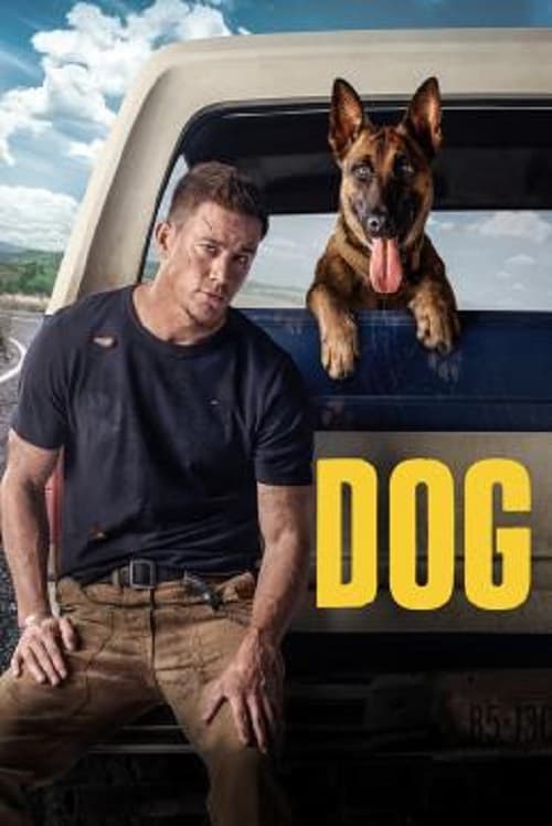 ดู DOG (2022) เพื่อนกันพันธ์ห้าว พากย์ไทย