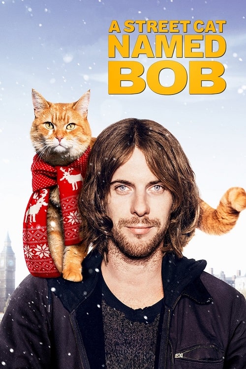 ดู A Street Cat Named Bob (2016) บ๊อบ แมว เพื่อน คน พากย์ไทย