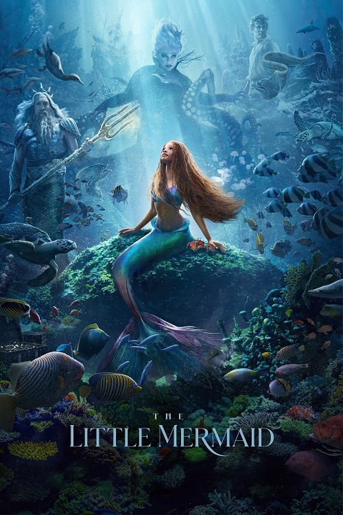 ดู The Little Mermaid (2023) เงือกน้อยผจญภัย พากย์ไทย