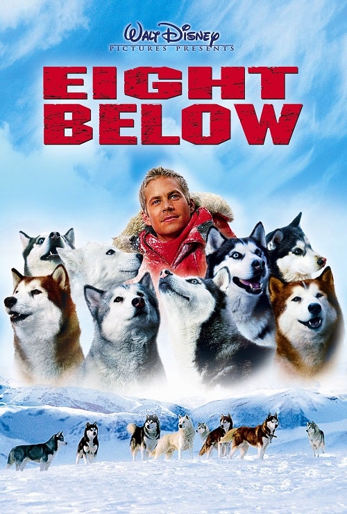ดู Eight Below (2006) ปฏิบัติการ 8 พันธุ์อึดสุดขั้วโลก พากย์ไทย