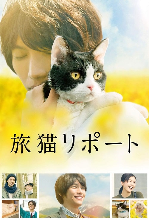 ดู The Travelling Cat Chronicles (2018) ผม แมว และการเดินทางของเรา พากย์ไทย