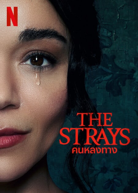 ดู The Strays (2023) คนหลงทาง พากย์ไทย