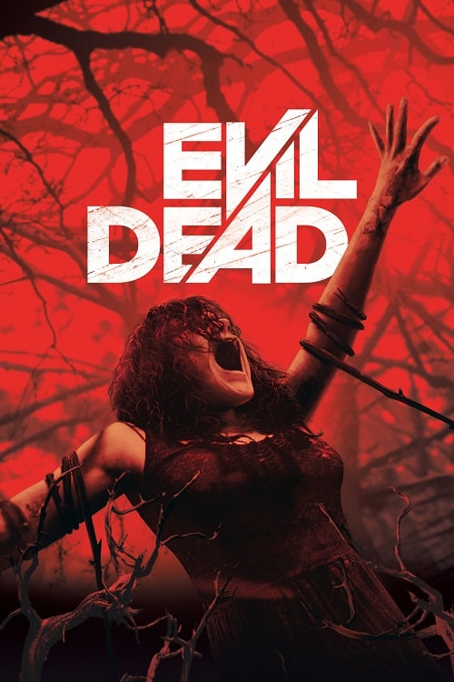 ดู Evil Dead (2013) ผีอมตะ พากย์ไทย