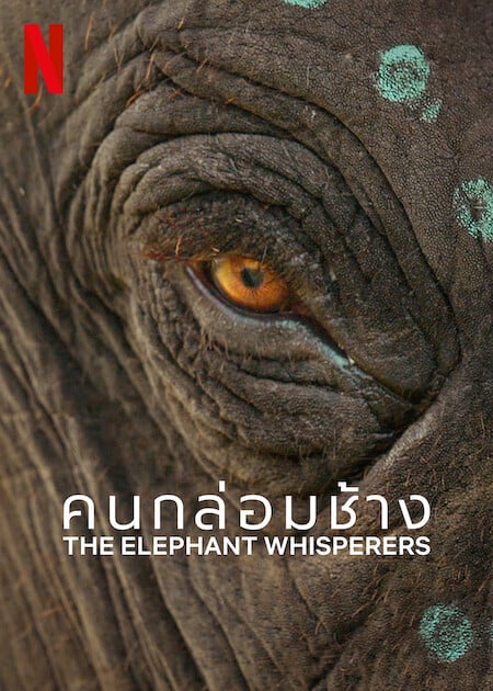 ดู The Elephant Whisperers (2022) คนกล่อมช้าง พากย์ไทย