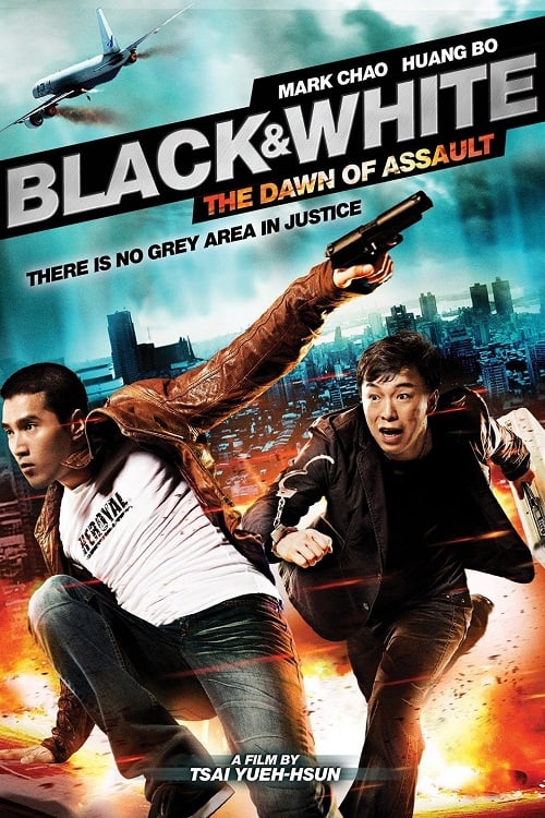 ดู Black and White The Dawn of Assault (2012) คู่มหาประลัย อุบัติการณ์ถล่มเมือง พากย์ไทย