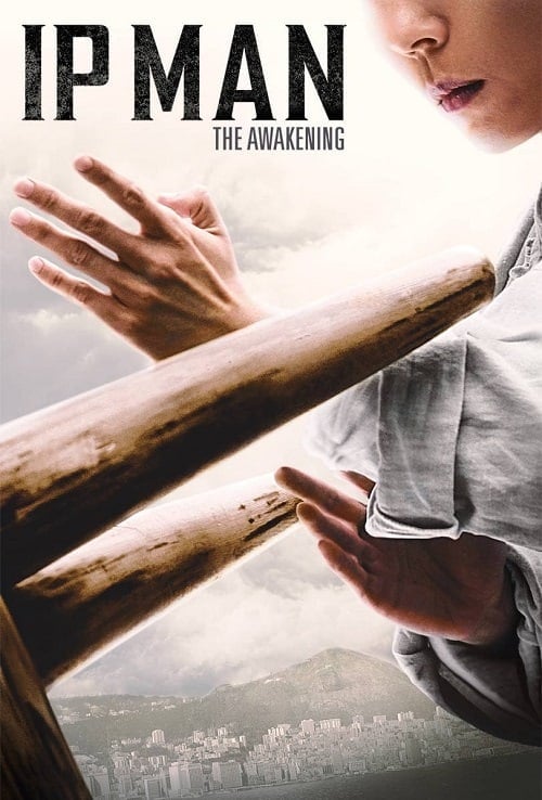ดู Ip Man The Awakening (2021) ยิปมัน เจ้ากังฟูสู้ยิบตา ปรมาจารย์ตื่นแล้ว พากย์ไทย