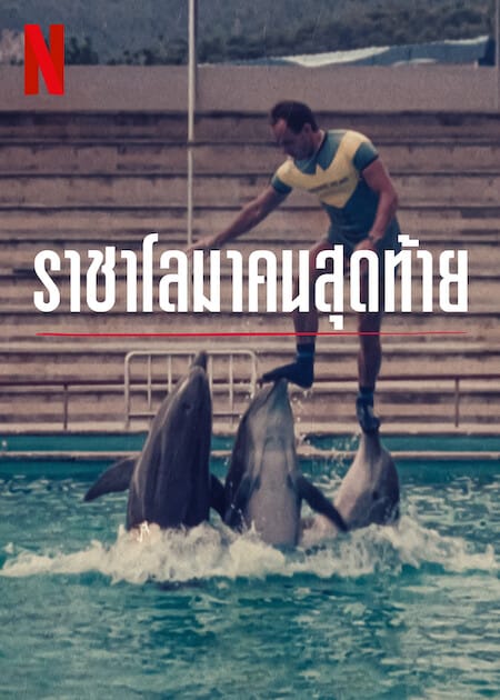 ดู The Last Dolphin King (2022) ราชาโลมาคนสุดท้าย พากย์ไทย