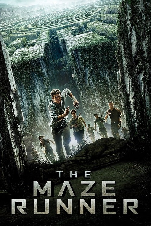ดู The Maze Runner (2014) วงกตมฤตยู พากย์ไทย