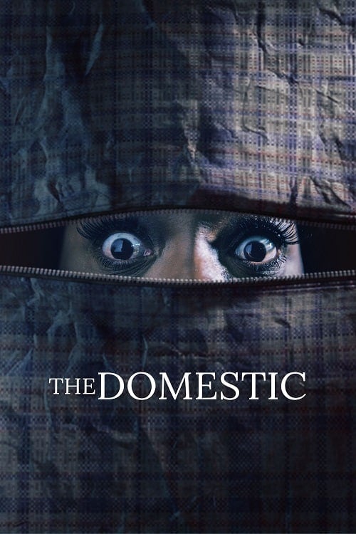 ดู The Domestic (2022) พากย์ไทย