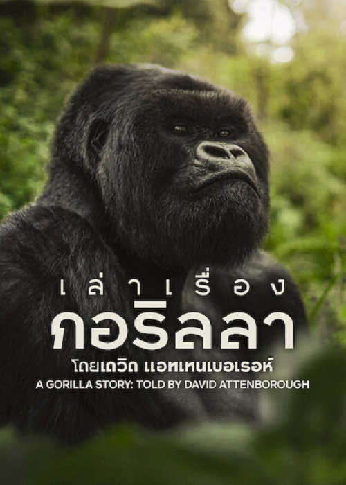 ดู A Gorilla Story (2026) เล่าเรื่องกอริลลา โดยเดวิด แอทเทนเบอเรอห์ เซอร์เดวิด พากย์ไทย